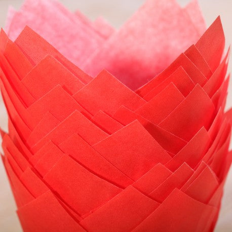 Muffin Liners